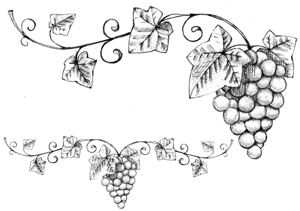 History Image - Line Art (600x427), Png Download