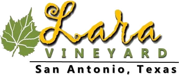 Lara Vineyard (598x257), Png Download