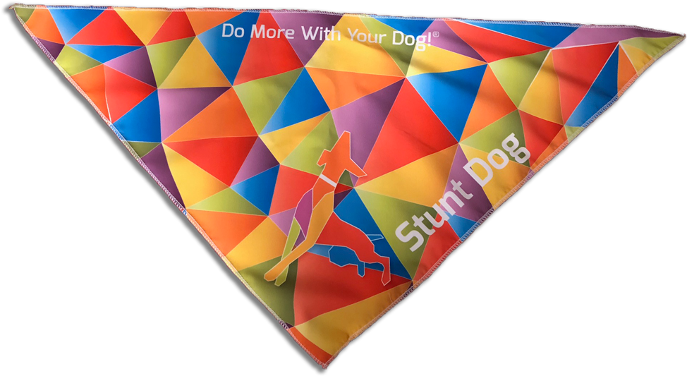 Buy 12 Bandanas - Dog (1000x631), Png Download