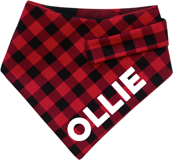 Kerchief (768x768), Png Download