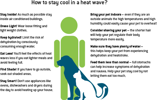 How To Keep You And Your Pet Cool During A Heat Wave - Natural Disaster (666x428), Png Download