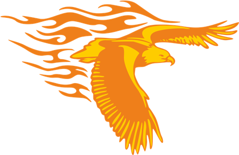 Vinilo Decorativo Águila Con Alas Desplegadas En Llamas - Eagles Flying Gifs Png (470x470), Png Download