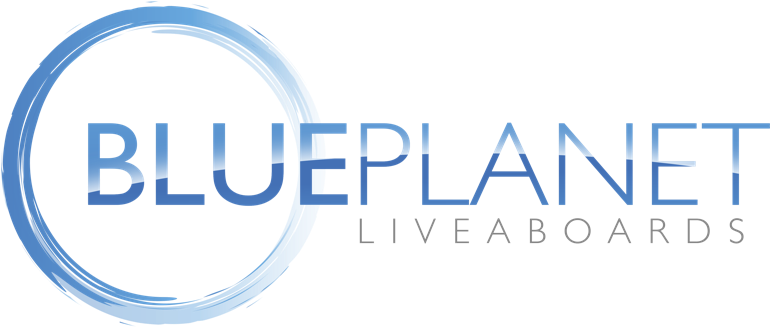 Welcome To Blue Planet Liveaboards - Blue Planet Liveaboards (800x344), Png Download