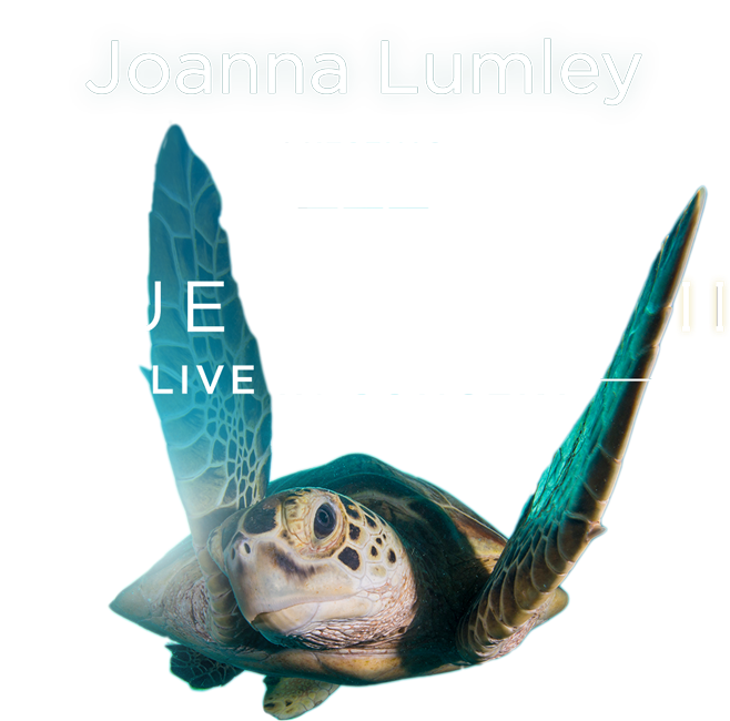 Bbc Blue Planet Ii Live - Bbc (1800x982), Png Download