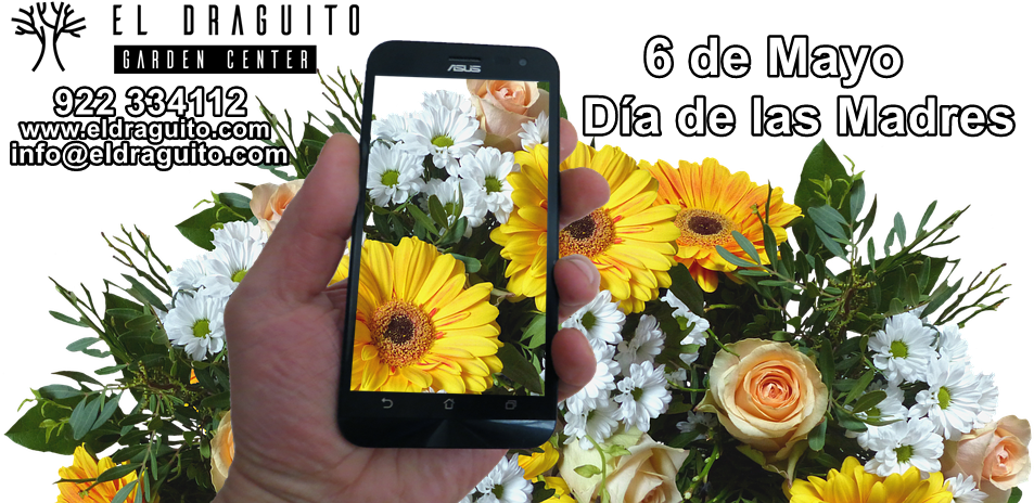 Flores Día De La Madre - Flower Bouquet (960x473), Png Download