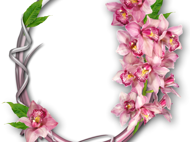 Marco Flores Net Worth - Marcos Para Fotos Florales (800x600), Png Download