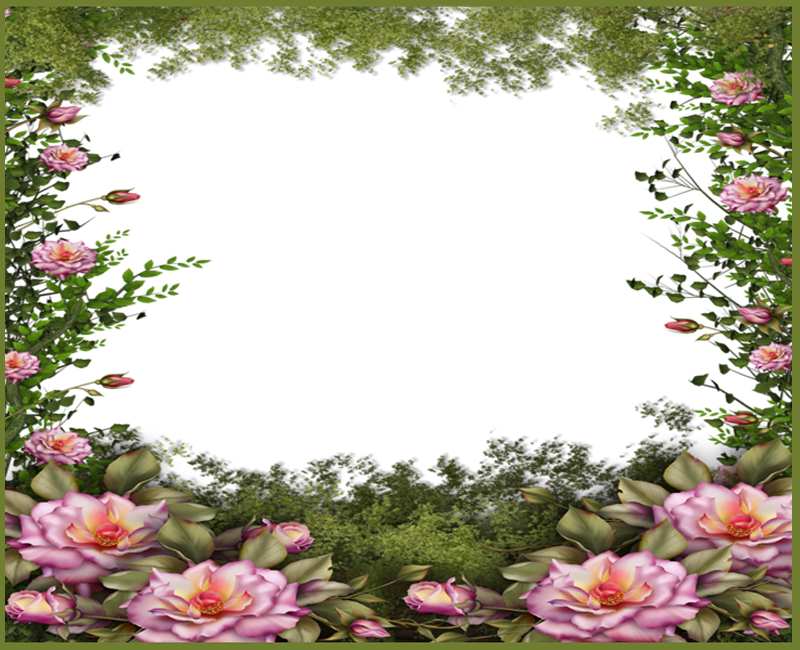 Marcos Fhotoscape Photoshop Y Gimp Marcos Flores Marcos De Flores Png Full Size Png Download Seekpng