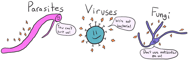 Virus Bacteria Parasite (640x213), Png Download