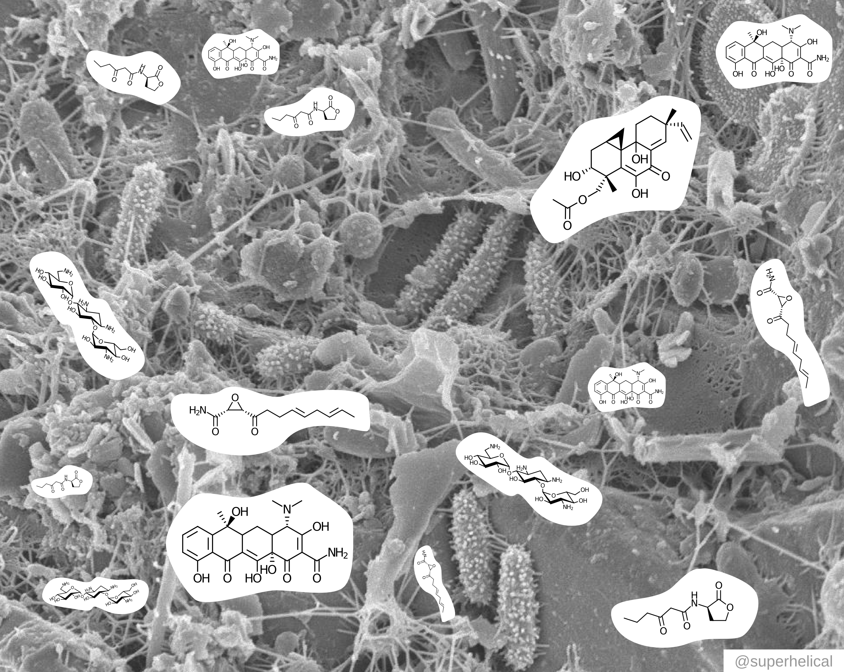 Microbes Live In Complex Communities, Pass Toxins And - Monochrome (2722x2167), Png Download