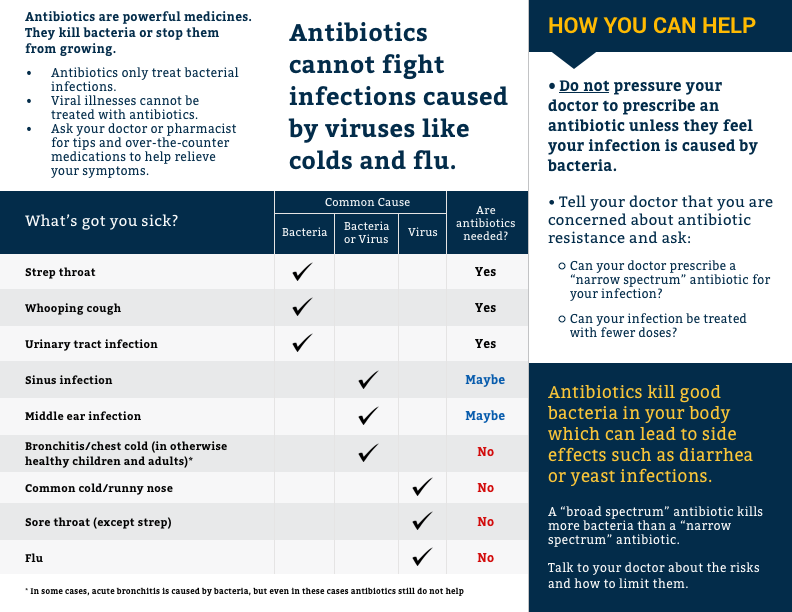 Antibiotics What You Should Know Brochure Brochure - Brochure (792x612), Png Download
