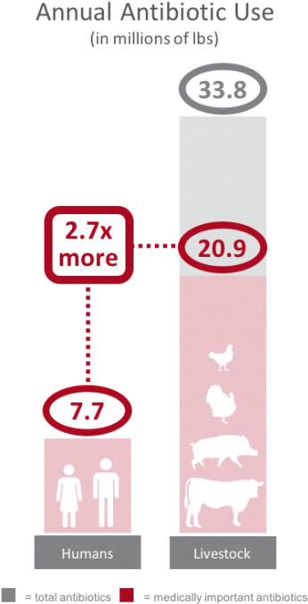 Comparison Of Annual Antibiotic Use In The United States - Human (469x700), Png Download