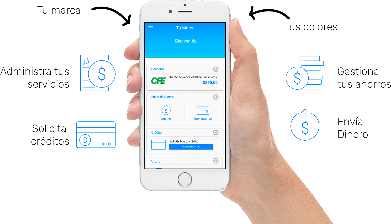 La Plataforma Que Enamora Y Fideliza A Tus Clientes - Iphone (2048x1021), Png Download