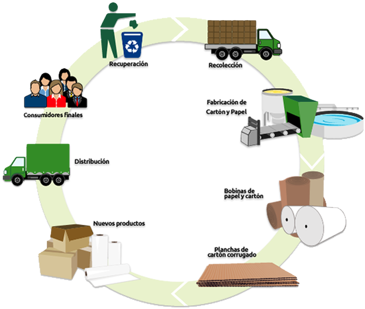 Ciclo De Reciclaje Del Papel (782x647), Png Download