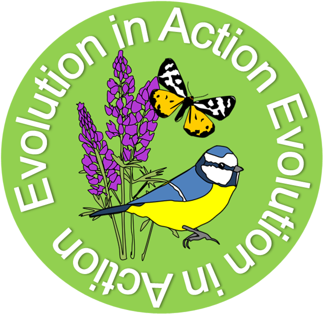 Logo Of "evolution In Action" (661x662), Png Download