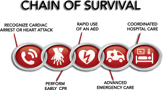Heart Attacks And Cardiac Arrest Can Happen Anywhere - Adult Chain Of Survival 2015 (639x355), Png Download
