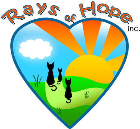 Https - //www - Raysofhopeinc - Com/ebay/new Roh Logo - Graphic Design (500x485), Png Download