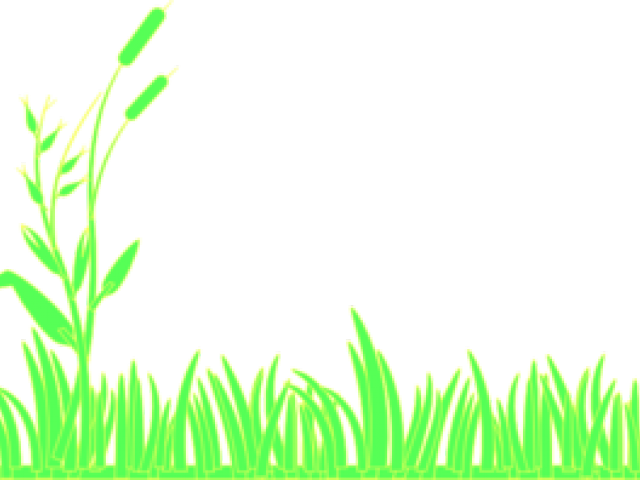 Lawn Clipart Grass Patch - Icon Background Black Png (640x480), Png Download