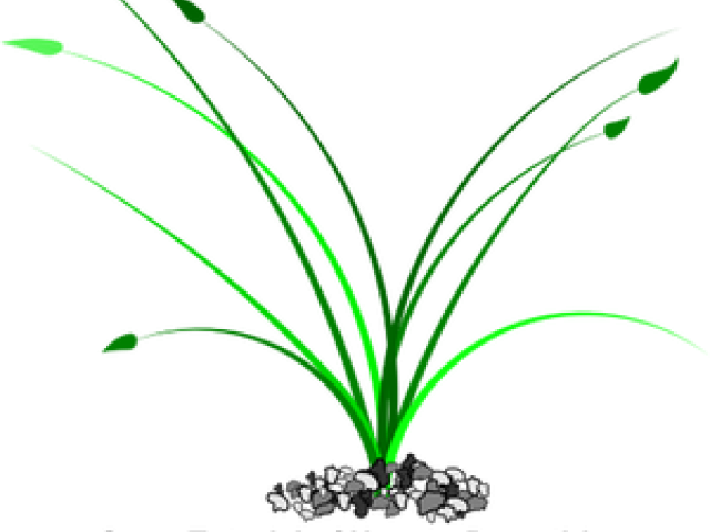 Stone Clipart Grass Patch - Illustration (640x480), Png Download