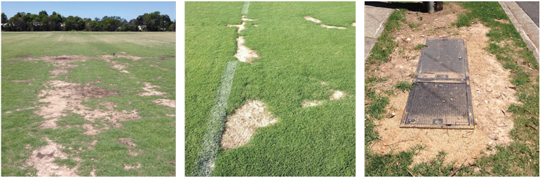 Patch Up Logo™ Patch Up Pictures - Lawn (800x265), Png Download