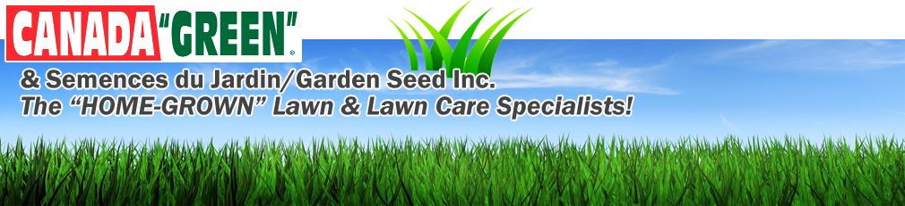 Canada Green Perfect Grass Patch Lawn Repair Mix - Lawn (1010x231), Png Download