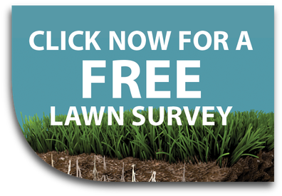 Welcome To Premiership Lawncare, The League Leaders - Red Click Here Button (450x303), Png Download