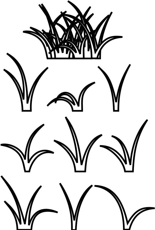 Pin Patch Of Grass Clipart - Grass Clipart Black And White (571x800), Png Download