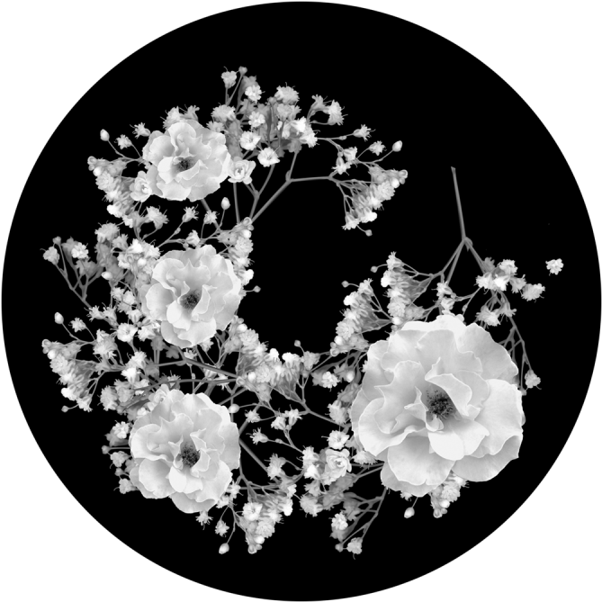 Rose Wreath - Apollo Rose Wreath Glass Gobo Sr-0076 (800x800), Png Download