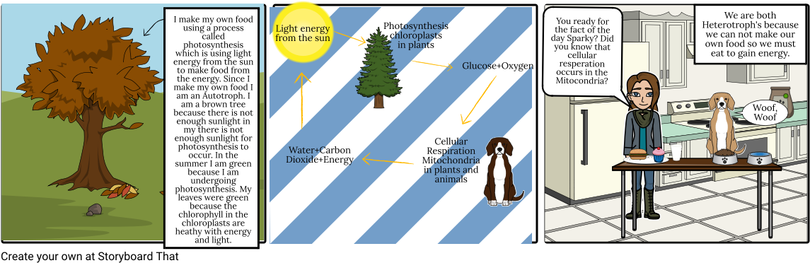 Ainsley - Christmas Tree (1164x385), Png Download