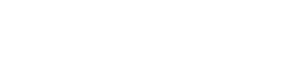 Leadership In Technology - Gillette Stadium (1035x224), Png Download