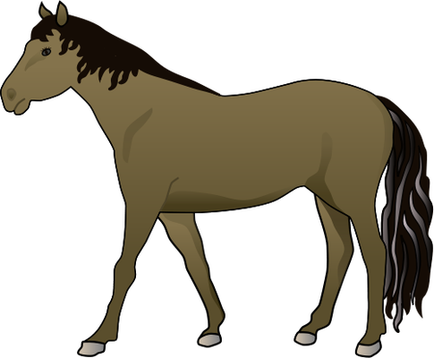 Equus Ferus Caballus - Horse Illustration (485x400), Png Download