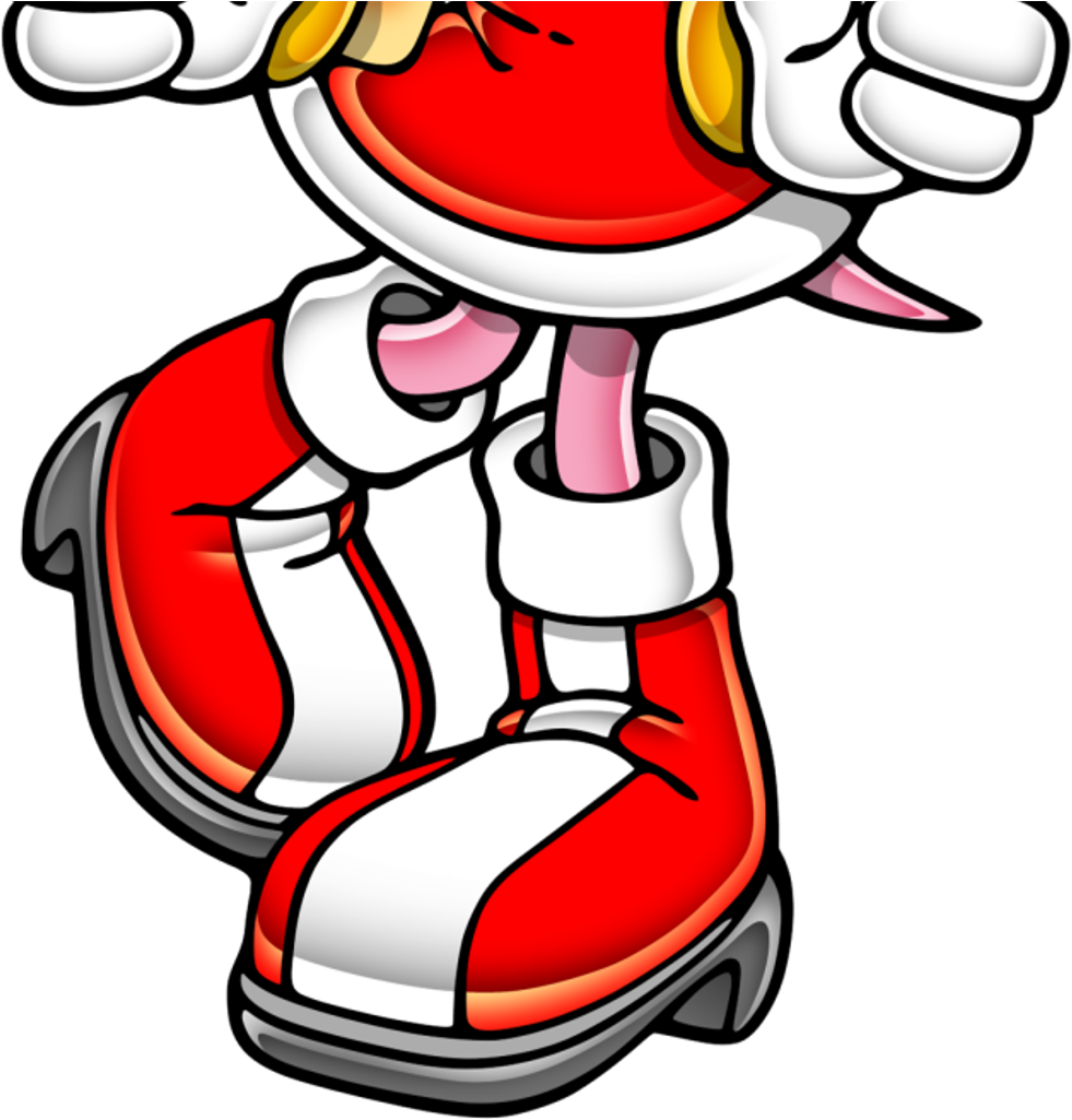 Amy Rose Boots - Amy Rose With Her Hammer (1375x1028), Png Download