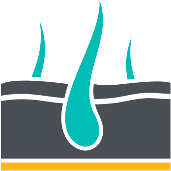 Illustration Of Skin Layers - Dermatologists Logo (560x375), Png Download