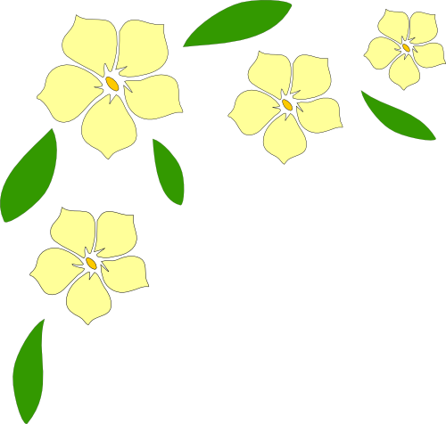 Jasmine (500x476), Png Download