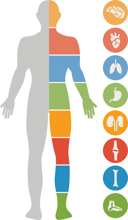 90 Essential Nutrients - Body Health (438x751), Png Download