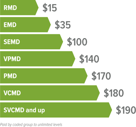 Coding Growth Bonuses - Plan De Compensacion De Mega Health (458x430), Png Download
