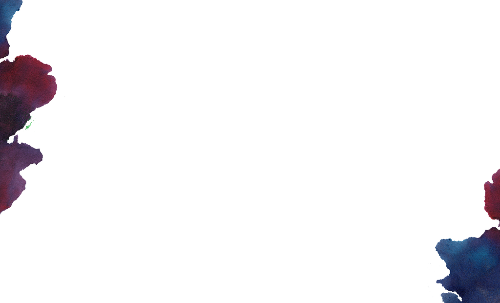 Carnation (1024x620), Png Download