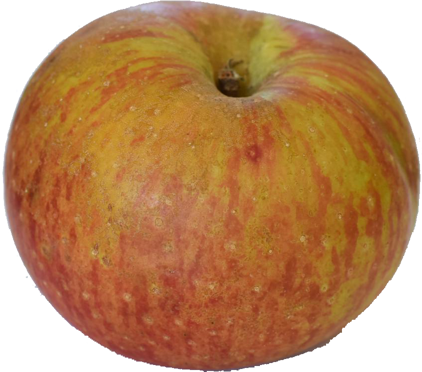 Why The Southern Apple - Apple (856x755), Png Download