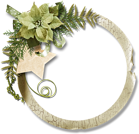 Christmas Tree (500x497), Png Download