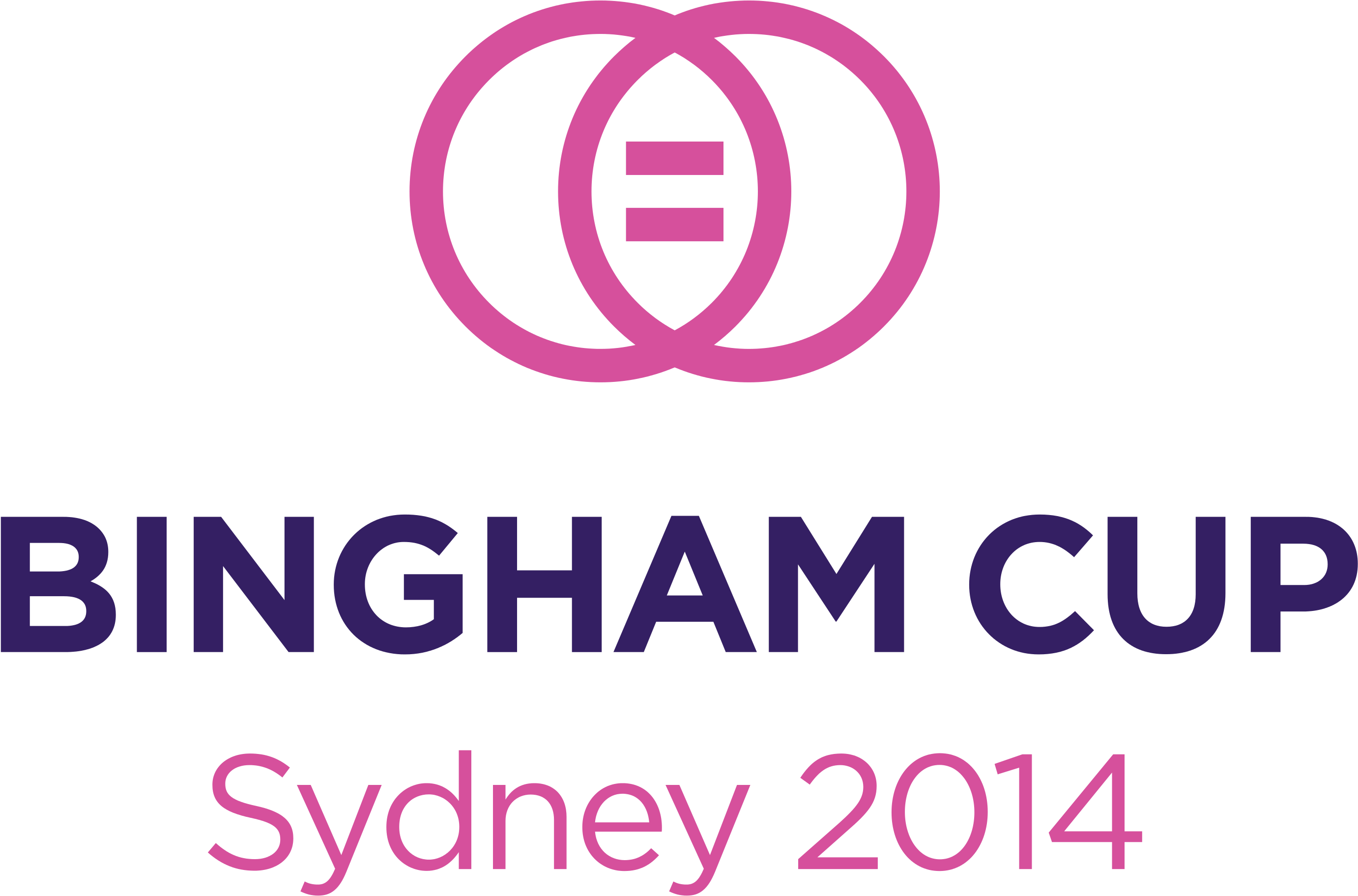 Bingham Positive Rgb - Young Ford Brigham City (3027x3027), Png Download