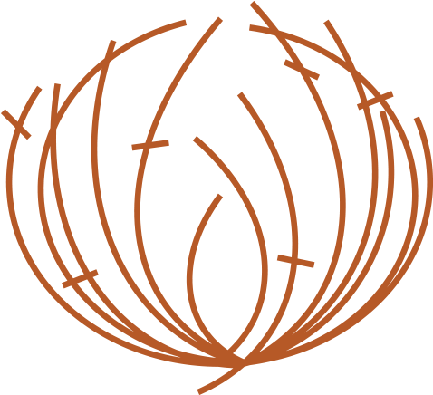 Tumble-weed - Portable Network Graphics (900x473), Png Download