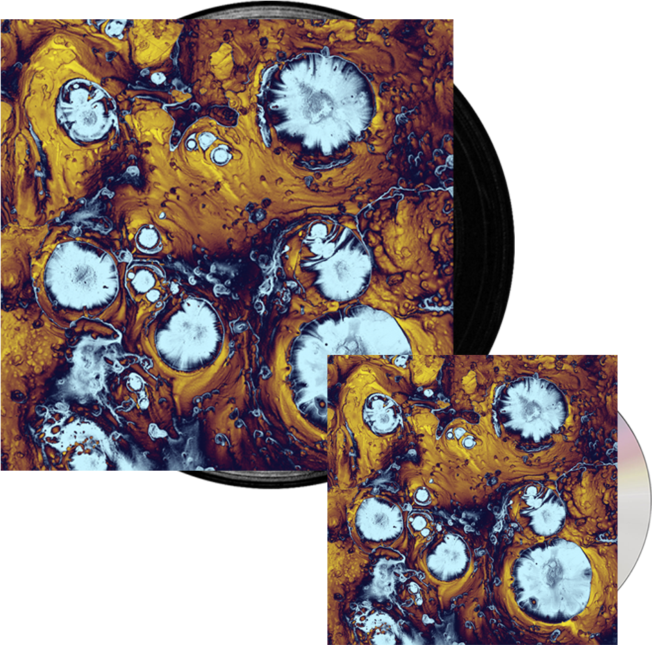 Buy Online The Black Queen - Infinite Games (1000x1000), Png Download