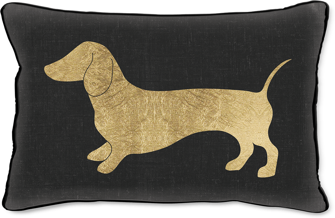 Weiner Dog Pillow - Lady Jayne Dachshund Dog Pillow 13 X 8 (1200x1200), Png Download