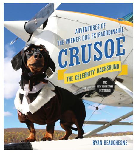 “crusoe, The Celebrity Dachshund - Crusoe The Celebrity Dachshund Book (800x738), Png Download