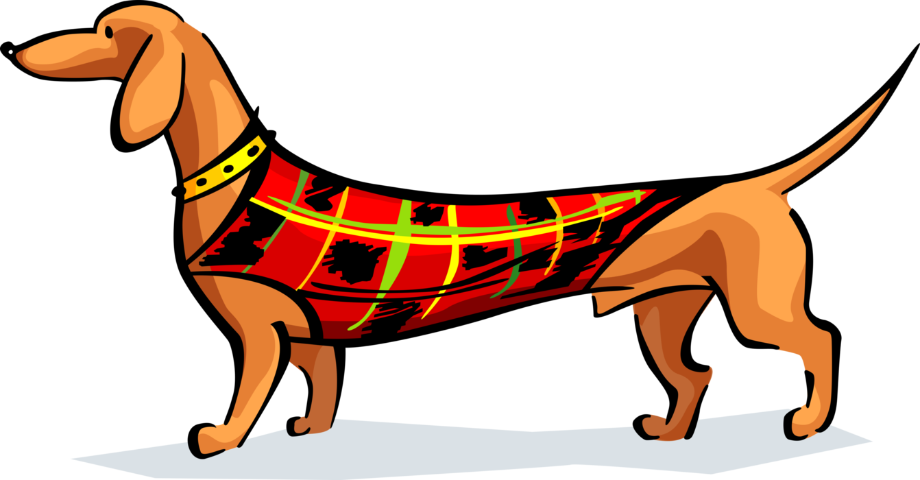 Vector Illustration Of Dachshund Wiener Or Sausage (1342x700), Png Download