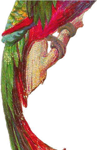 Quetzal Clipart Transparent - Quetzal (640x480), Png Download