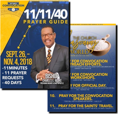 Share - Cogic 11 11 40 (384x373), Png Download