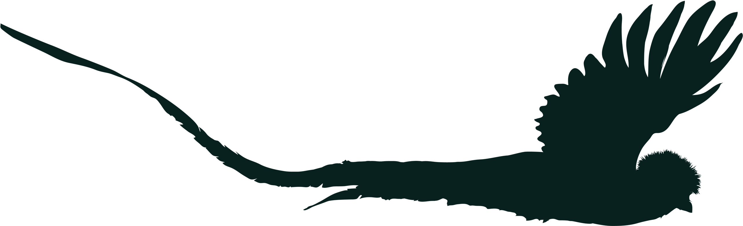 Dark Green Quetzal Flipped - Quetzal (2895x1166), Png Download