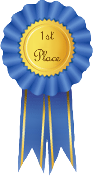 First Place Ribbon Png For Kids - 1st Place Ribbon (299x570), Png Download
