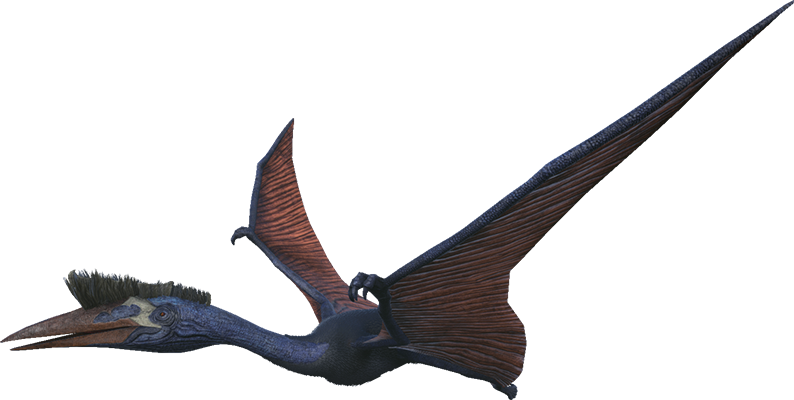 Quetzal Taming Calculator Dododex - Ark Survival Evolved Quetzal (794x400), Png Download