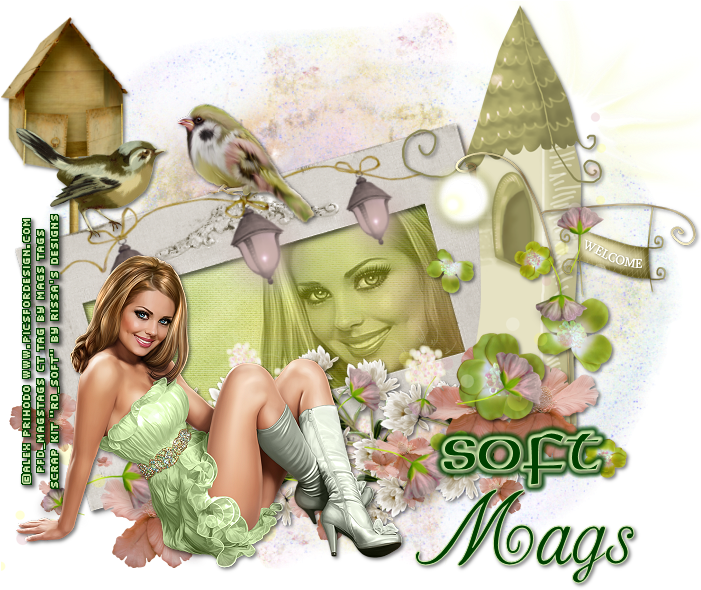 Ct Ptu Alex Prihodko "soft" Tutorial - Girl (700x600), Png Download